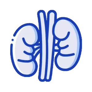 stoma-kidney