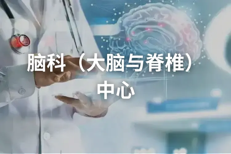 脑科（大脑与脊椎）中心 2025